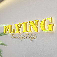 Acrylic Front & Backlit 3D LED Wall Signs