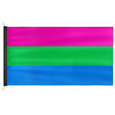 Premium Polysexual Flag