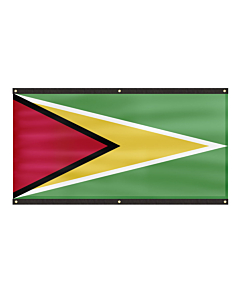 Premium Guyana Flag